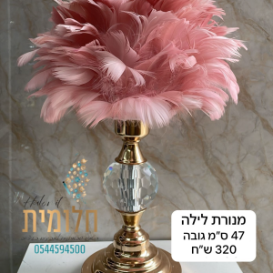 מנורת לילה מגניבה נוצות ורוד 47 סמ